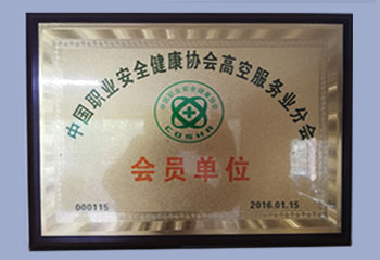 中國(guó)職業(yè)安全健康協(xié)會(huì)高空服務(wù)業(yè)分會(huì)會(huì)員單位